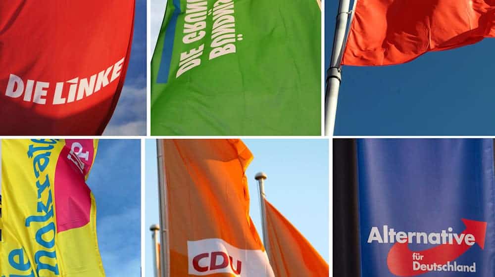 Dickes Mitgliederplus für Grüne, Linke und AfD (Archivbild) / Foto: Julian Stratenschulte/dpa