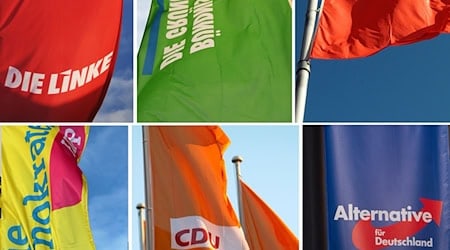 Dickes Mitgliederplus für Grüne, Linke und AfD (Archivbild) / Foto: Julian Stratenschulte/dpa