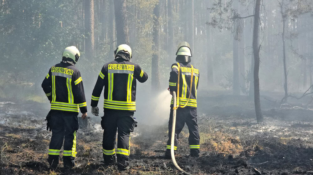 In Brandenburg gab es 2023 im bundesweiten Vergleich die meisten Waldbrände (Archivbild) / Foto: Cevin Dettlaff/dpa