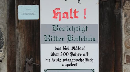 Ärzte und Forscher habe den Leichnam von Ritter Kalebuz untersucht. / Foto: picture alliance / ZB