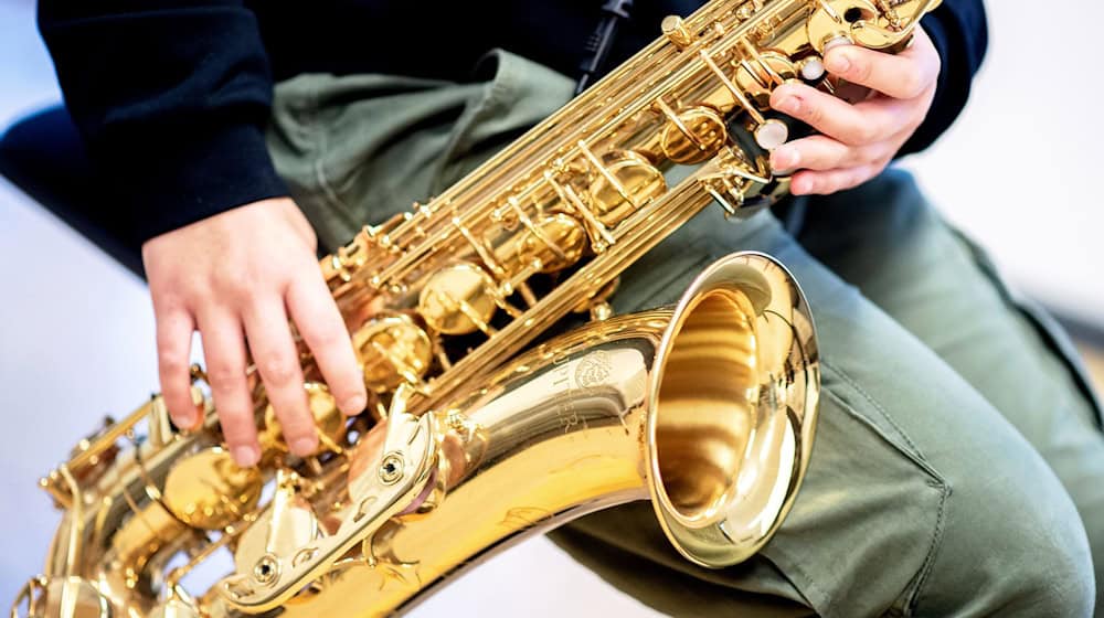 Die Musik- und Kunstschulen kommen finanziell an ihre Grenzen. (Symbolbild) / Foto: Hauke-Christian Dittrich/dpa