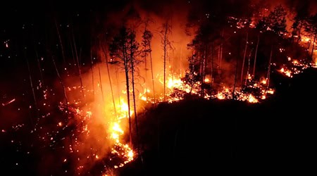 2023 loderten die Flammen im Wald bei Jüterbog.  Die Waldbrand-Saison in diesem Jahr ist bislang glimpflich abgelaufen. (Archibild) / Foto: Thomas Schulz/dpa