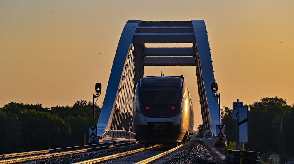 Über die neue Oderbrücke rollten bereits die ersten Züge. (Foto aktuell) / Foto: Patrick Pleul/dpa