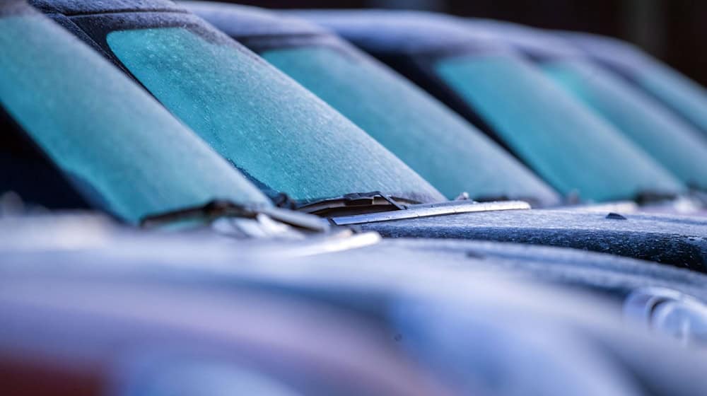In Berlin sind im ersten Halbjahr viel weniger Autos neu zugelassen worden als vor einem Jahr. (Archivbild) / Foto: Jens Büttner/dpa-Zentralbild/dpa