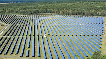 Nach einem ersten Solarfeld am Flugplatz Welzow im Lausitzer Seenland ist eine weitere Anlage in Haidemühl geplant / Foto: Patrick Pleul/dpa-Zentralbild/dpa