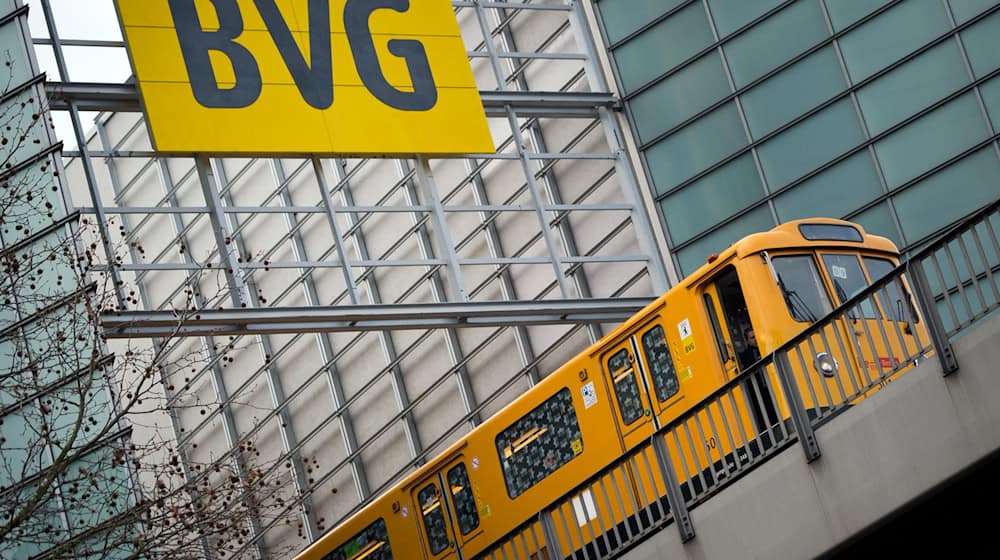In der Vergangenheit sind schon häufiger Bahn-Surfer erwischt worden. (Symbolbild) / Foto: Daniel Naupold/dpa