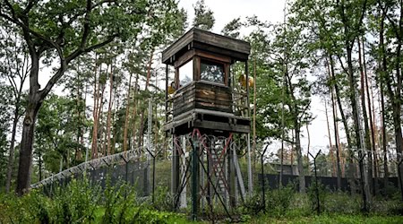 Der Sprengplatz im Grunewald wird längst wieder für die Sprengung von Munition genutzt. / Foto: Britta Pedersen/dpa