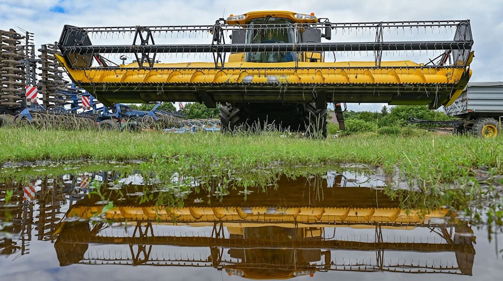 Es ist Hochsaison auf den Feldern. Die Ernteaussichten der Landwirt sind aber verhalten. / Foto: Patrick Pleul/dpa
