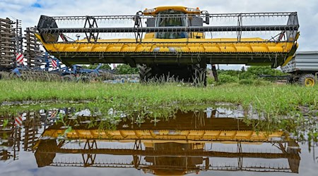 Es ist Hochsaison auf den Feldern. Die Ernteaussichten der Landwirt sind aber verhalten. / Foto: Patrick Pleul/dpa