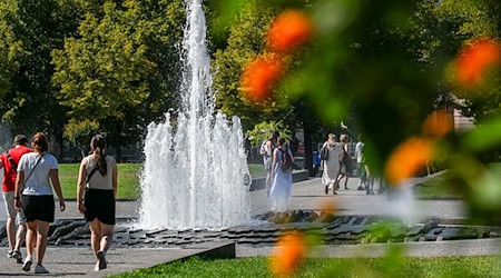 In Berlin und Brandenburg wurden vielerorts sehr hohe Temperaturen gemessen. / Foto: Jens Kalaene/dpa