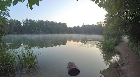 Das Landesamt für Gesundheit und Soziales rät derzeit vom Baden im Teufelssee ab. / Foto: Paul Zinken/dpa