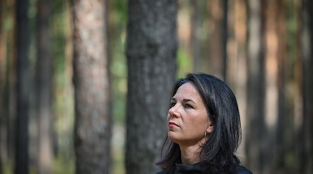 Für Annalena Baerbock ist Waldbrandbekämpfung auch ein Thema der inneren Sicherheit. / Foto: Patrick Pleul/dpa