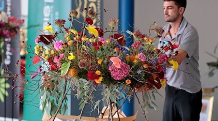 Lukas Ernle, Florist in Berlin, tritt bei der Deutschen Meisterschaft an. (Archivfoto) / Foto: Peter Gercke/dpa-Zentralbild/dpa