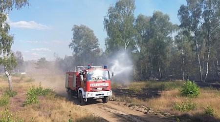 War in diesem Jahr erneut Schauplatz eines Waldbrandes: Fläche bei Jüterbog. (Archivbild) / Foto: Cevin Dettlaff/dpa