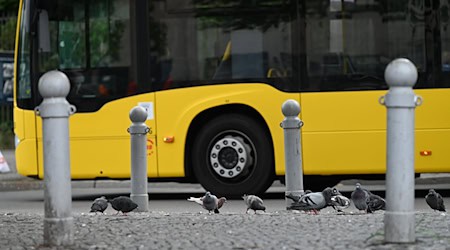 Die meisten Kunden steigen schon mit gültigen Fahrkarten ein. (Archivbild) / Foto: Helena Dolderer/dpa