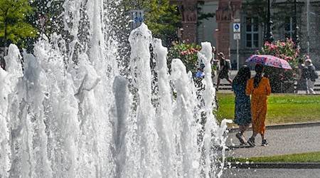 DWD-Bilanz: Der Sommer in Berlin war der wärmste und sonnigste im Ländervergleich. (Archivbild) / Foto: Jens Kalaene/dpa