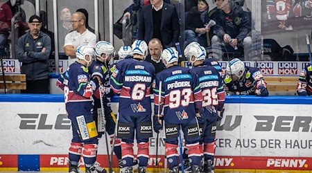 Die Eisbären Berlin haben auch das zweite Testspiel gewonnen. / Foto: Andreas Gora/dpa