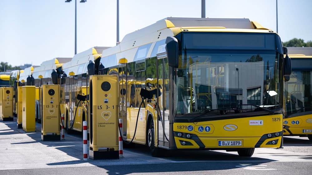 Berlins Grüne warnen davor, die Umrüstung der Busflotte auszubremsen. (Archivfoto)  / Foto: Monika Skolimowska/dpa