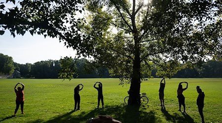 Die Temperaturen in Berlin klettern heute auf bis zu 31 Grad. (Symbolbild) / Foto: Sebastian Gollnow/dpa