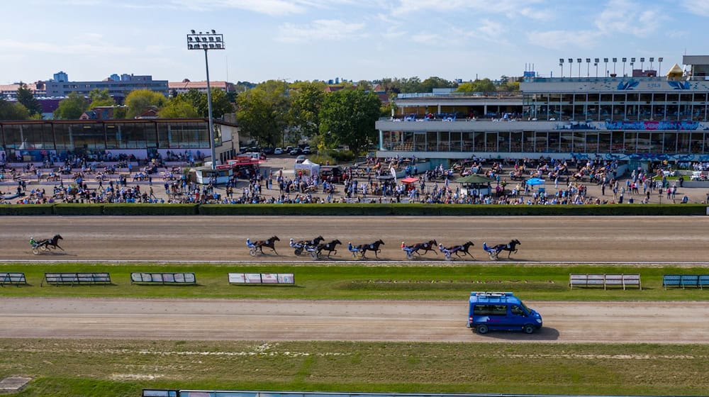 Beim 129. Traber-Derby siegte Mitfavoritin Nortolanda. / Foto: Christophe Gateau/dpa