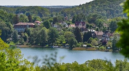 Mehrere Solarparks sind im Naturpark Märkische Schweiz geplant. (Archivbild) / Foto: Patrick Pleul/dpa