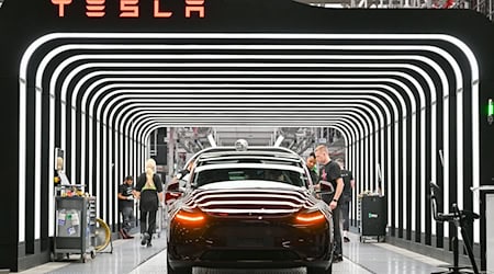 Lässt Zeitpunkt für Ausbau offen: Elektroautobauer Tesla (Archivbild). / Foto: Patrick Pleul/dpa