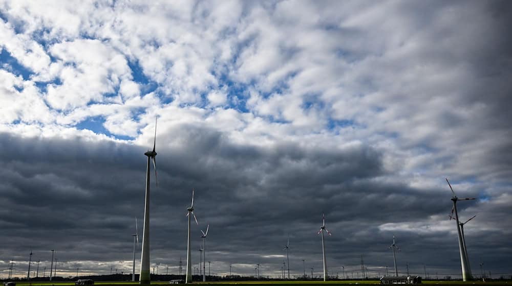 Der Deutsche Wetterdienst erwartet Wind und Wolken in Berlin und Brandenburg. (Archivbild) / Foto: Jens Kalaene/dpa