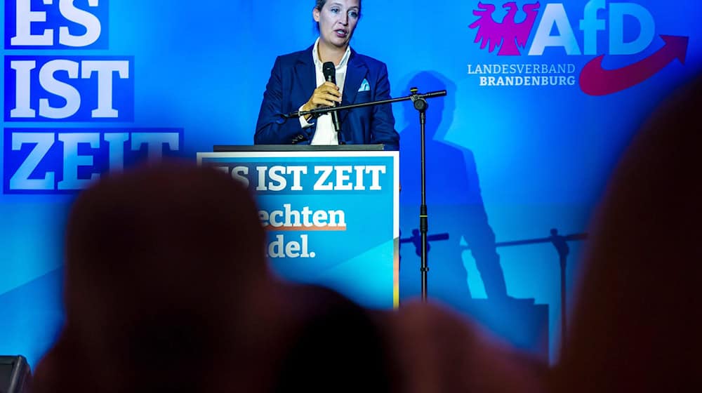 Hofft auf Zäsur mit Brandenburg-Wahl: AfD-Co-Chefin Alice Weidel. / Foto: Frank Hammerschmidt/dpa