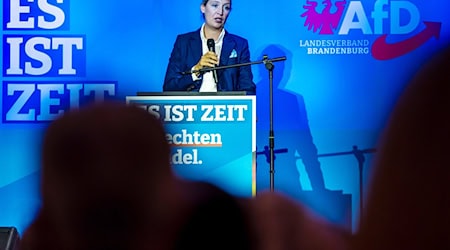 Hofft auf Zäsur mit Brandenburg-Wahl: AfD-Co-Chefin Alice Weidel. / Foto: Frank Hammerschmidt/dpa