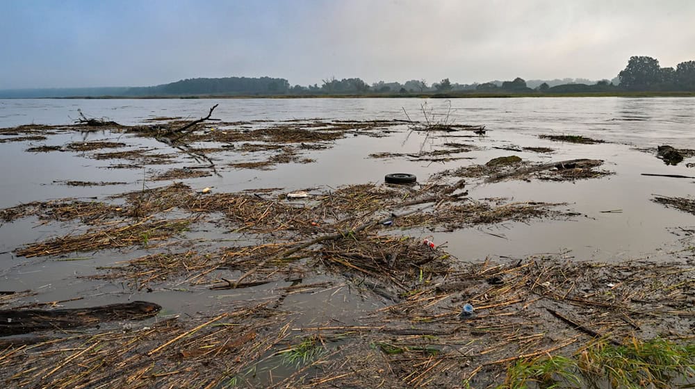 Die erste Hochwasser-Alarmstufe ist für die Oder-Regionen Ratzdorf bis Eisenhüttenstadt ausgerufen worden. Der Wasserstand steigt aber weiter. / Foto: Patrick Pleul/dpa