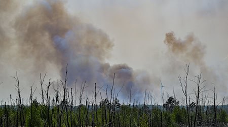 Bei dem Brand in Jüterbog standen rund 172 Hektar in Flammen. / Foto: Patrick Pleul/dpa