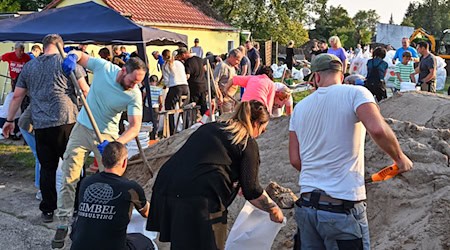 Einwohner von Lebus, einer Kleinstadt etwa zehn Kilometer nördlich von Frankfurt (Oder), befüllen Sandsäcke gegen das drohende Hochwasser vom deutsch-polnischen Grenzfluss Oder. / Foto: Patrick Pleul/dpa