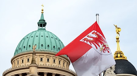 Die Umfrage sieht AfD vor SPD - aber starke Werte für Ministerpräsident Woidke. (Archivbild) / Foto: Soeren Stache/dpa