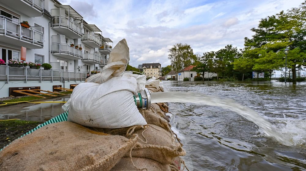 Schreckmoment in Eisenhüttenstadt: In einem Stadtteil wurde in der Nacht ein Sandsack-Wall unterspült, die Feuerwehr musste rasch reagieren.  / Foto: Patrick Pleul/dpa