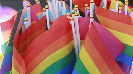 Beim CSD in Frankfurt (Oder) kam es bis zum frühen Nachmittag zu keinen Störungen. (Symbolfoto) / Foto: Matthias Bein/dpa