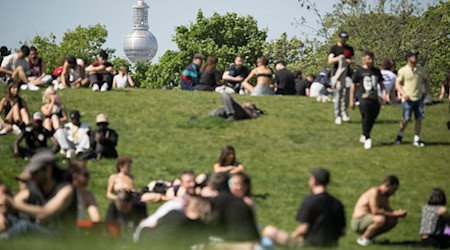 Kreuzberger Initiativen veranstalten im Görlitzer Park verschiedene Aktionen. (Archivbild)  / Foto: Sebastian Christoph Gollnow/dpa