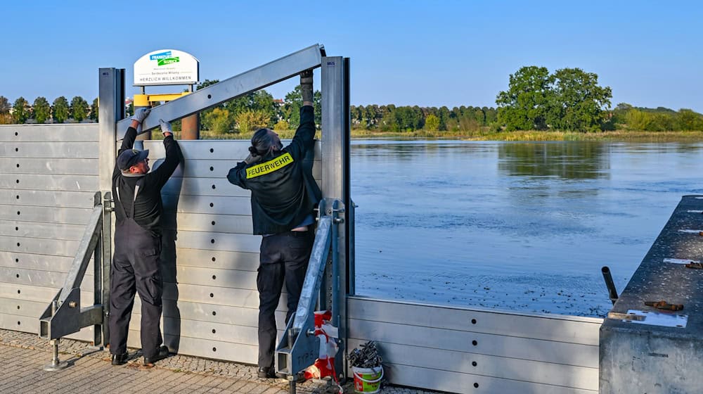 Schutzwände wie hier in Frankfurt (Oder) sollen Wassermassen fernhalten. / Foto: Patrick Pleul/dpa