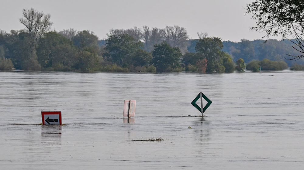 Die Oder bei Ratzdorf (Oder-Spree) «verschluckt»  inzwischen Schilder im Fluss. Der Pegelstand steigt auch noch weiter. / Foto: Patrick Pleul/dpa