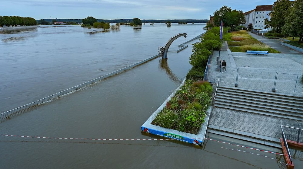 Nach mehreren angespannten Tagen geht das Hochwasser in Frankfurt (Oder) zurück. (Archivbild) / Foto: Patrick Pleul/dpa