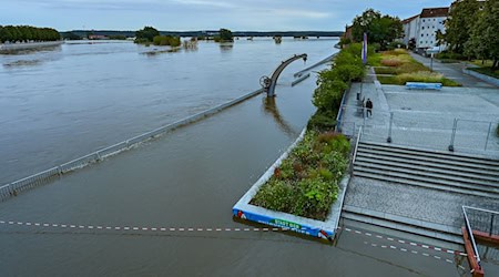 Nach mehreren angespannten Tagen geht das Hochwasser in Frankfurt (Oder) zurück. (Archivbild) / Foto: Patrick Pleul/dpa