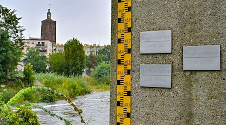 Auch in Brandenburg sind Flüsse über die Ufer getreten.  / Foto: Patrick Pleul/dpa