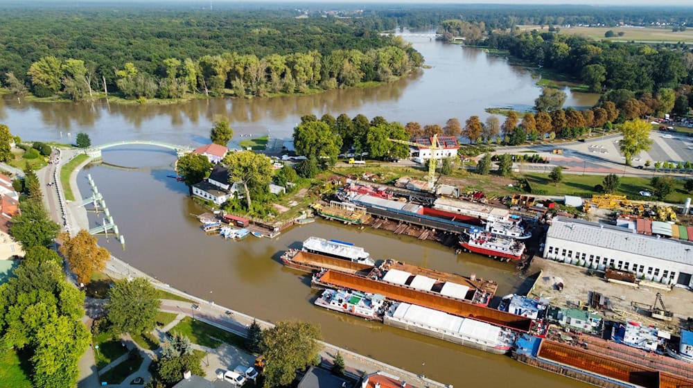 Die Oder bei der Stadt Nowa Sol in der Woiwodschaft Lebus. Auch hier werden Vorkehrungen für das Hochwasser getroffen. / Foto: Lech Muszynski/PAP/dpa