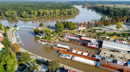 Die Oder bei der Stadt Nowa Sol in der Woiwodschaft Lebus. Auch hier werden Vorkehrungen für das Hochwasser getroffen. / Foto: Lech Muszynski/PAP/dpa