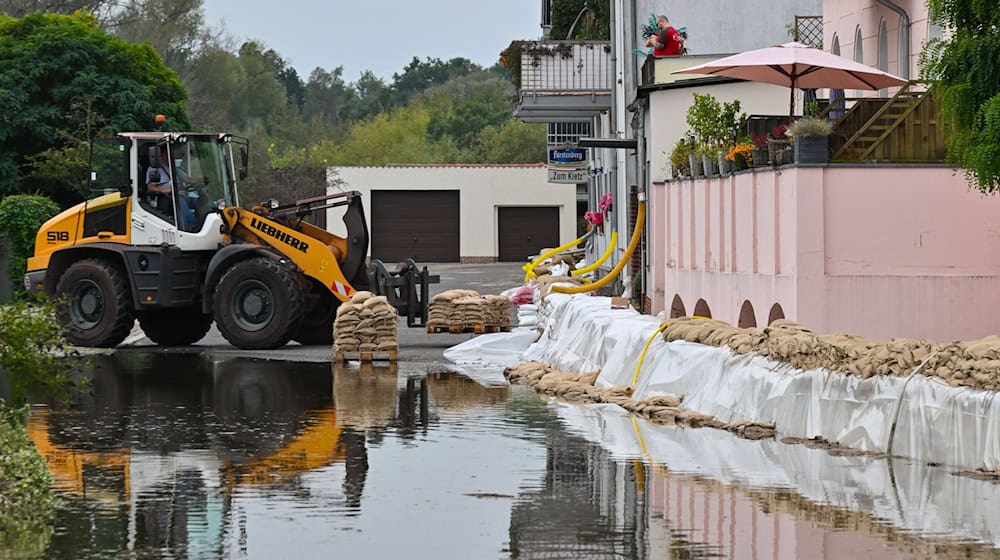 Ein Sandsack-Wall wird in einem Stadtteil von Eisenhüttenstadt verstärkt. Dort hat das Hochwasser Straßen überflutet. / Foto: Patrick Pleul/dpa