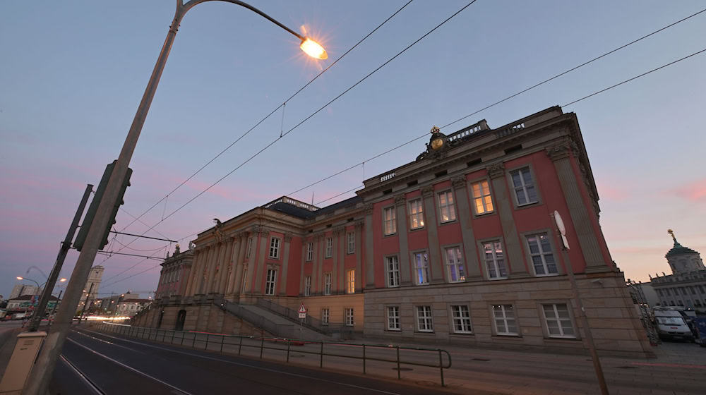 Die AfD hat bei der Landtagswahl in zwei Wahlkreisen im Süden die höchsten Werte bekommen. / Foto: Michael Bahlo/dpa