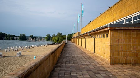 Das Landesamt für Gesundheit und Soziales hat Berlins Badegewässer, etwa den Wannsee, im Sommer regelmäßig untersucht. Damit ist vorerst Schluss. (Archivbild) / Foto: Monika Skolimowska/dpa