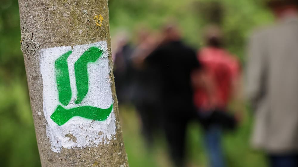 Die Lutherwege Sachsen-Anhalt und Brandenburg werden vereinigt. (Archivbild) / Foto: Jan Woitas/dpa