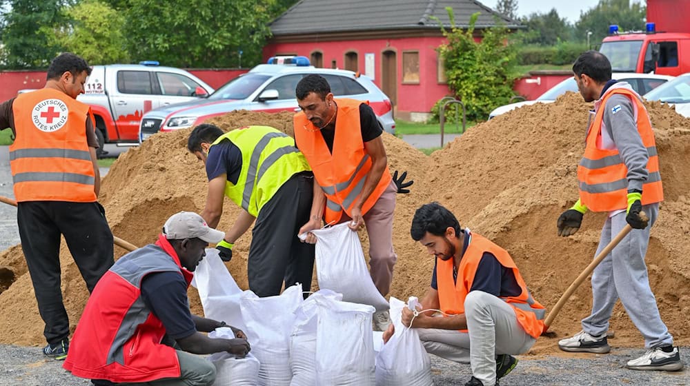 Nach einem Aufruf zur freiwilligen Mithilfe sind Menschen aus einer Unterkunft der Zentralen Ausländerbehörde an Sandsäcken im Einsatz.  / Foto: Patrick Pleul/dpa