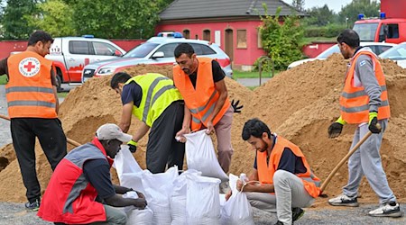 Nach einem Aufruf zur freiwilligen Mithilfe sind Menschen aus einer Unterkunft der Zentralen Ausländerbehörde an Sandsäcken im Einsatz.  / Foto: Patrick Pleul/dpa