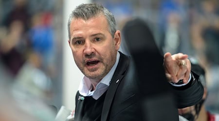 Der Eisbären-Trainer geht optimistisch in die DEL-Saison.  / Foto: Matthias Balk/dpa